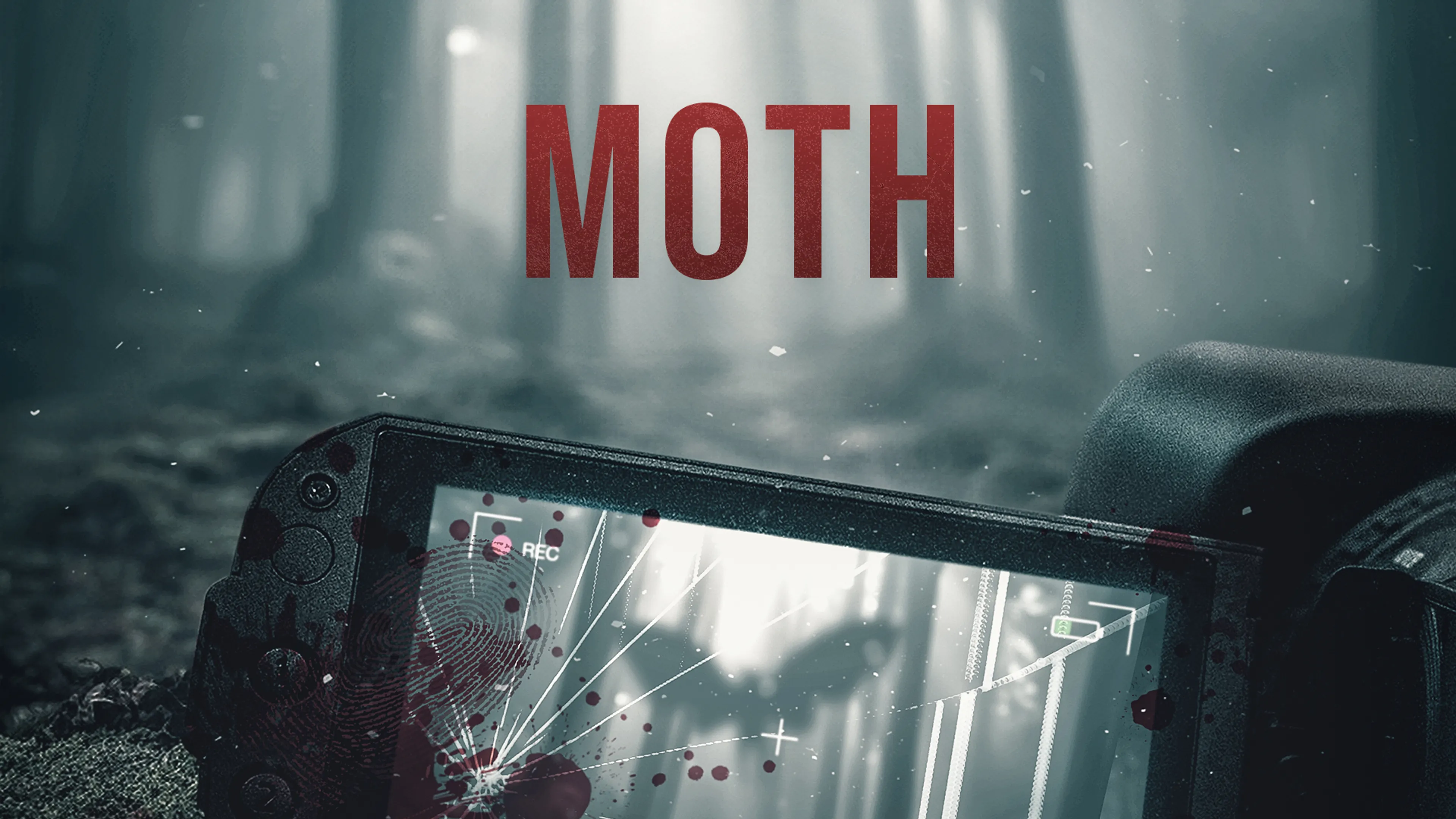 Moth poster